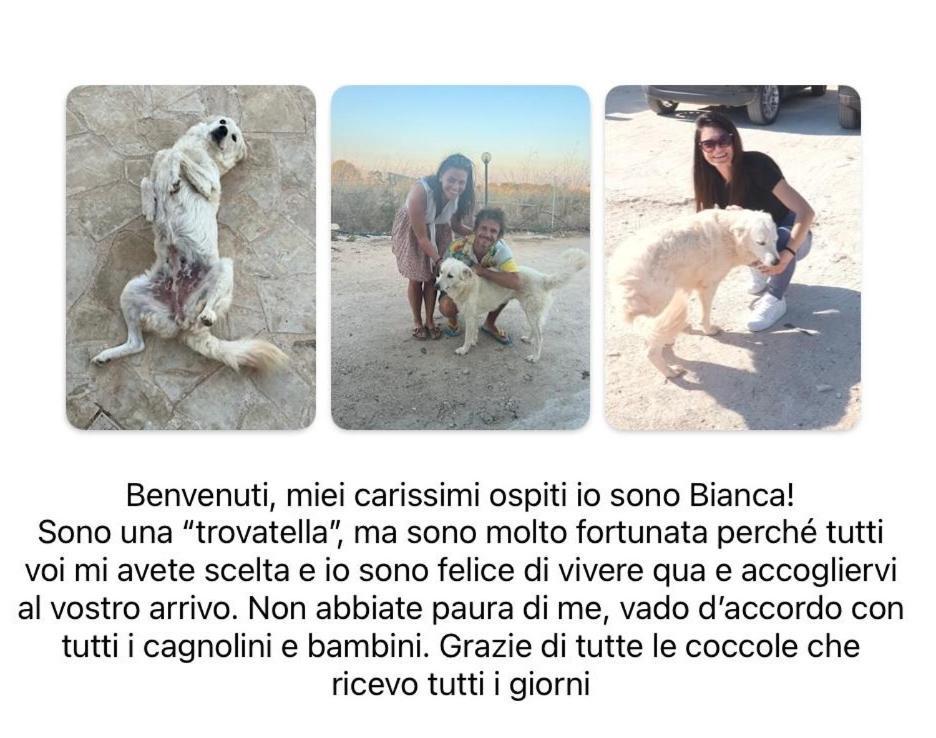 Cozzo Spadaro 3*