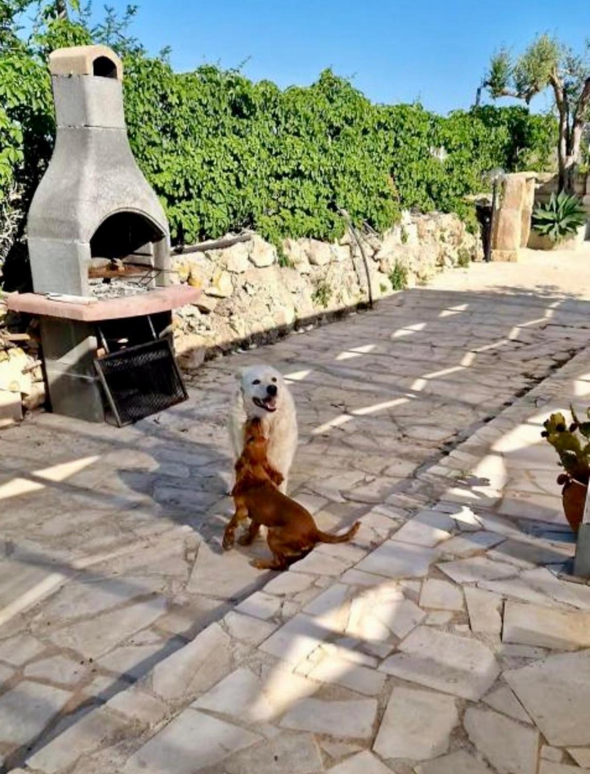 Cozzo Spadaro Portopalo Di Capo Passero